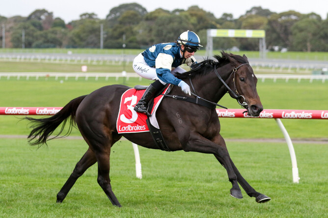 Unusual Culture in full flight at Sandown - Photo: Bruno Cannatelli