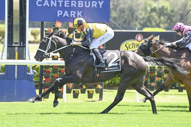 New Zealand-bred gelding Sounds Unusual showcased his staying potential with an impressive maiden victory in the A$100,000 Ranvet Plate (1900m) at Canterbury on New Year’s Day. - Photo Credit Bradley Photos