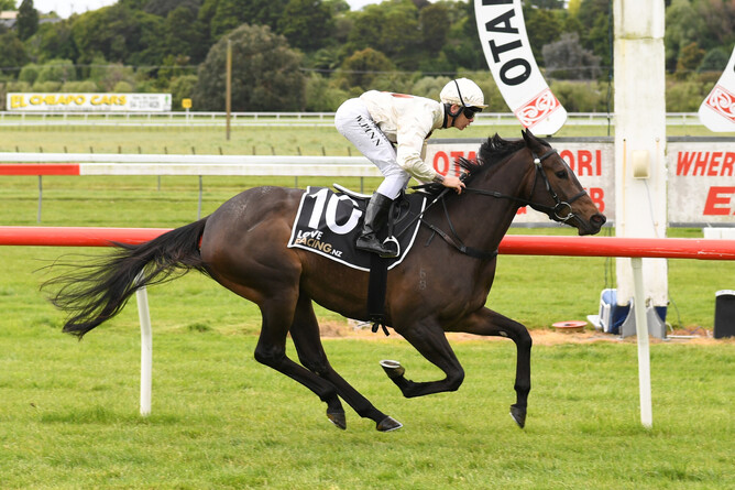 Unusual Culture will have her final run in New Zealand on Thursday in the Gr.3 Lucia Valentina Wellington Stakes (1600m) at Otaki.  - Photo: Grant Matthew (Race Images)