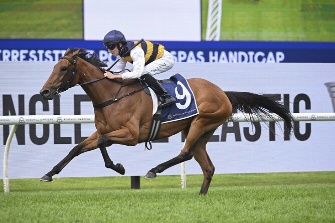 She’s Unusual is likely to be set for the Gr.3 Tesio Stakes (2040m).  - Photo: bradleyphotos.com.au