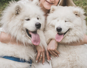 10 ways your dog says "I love you"