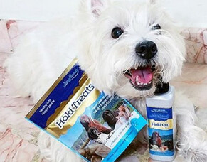 Nose to Tail - January Specials