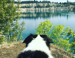 Dog days of summer