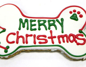 Christmas dog treat recipes they&rsquo;ll love