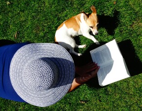 Get your dog ready for summer