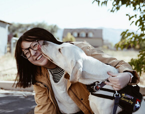 When dogs provide a vital service