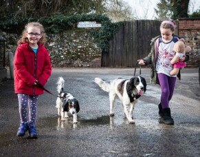 Take the lead with dog walking  