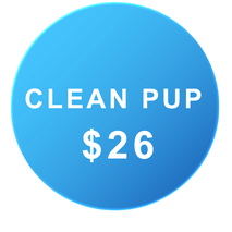 dog wash rates Auckland