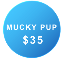 dog washing costs Auckland