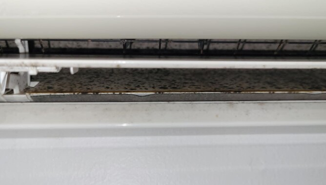 The heat pump containing black mould