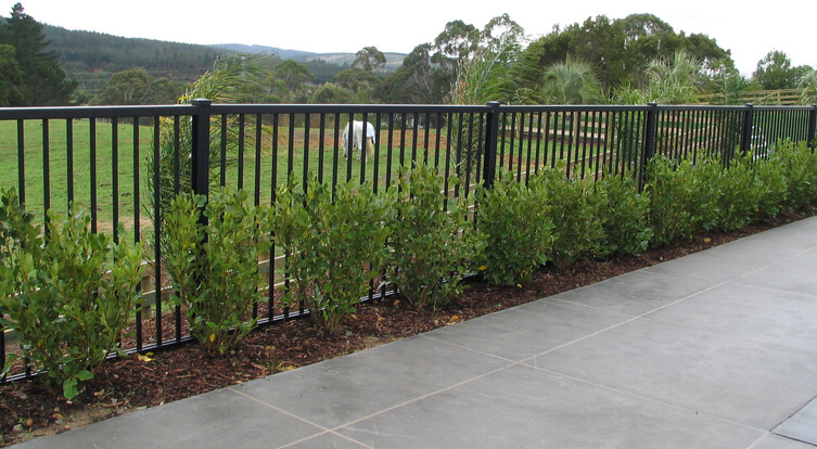 photo of a tiled area with Moduline boundary fencing, planted shrubs alongside and in the background a grass paddock with a horse grazing