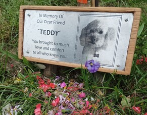 Remembering Teddy