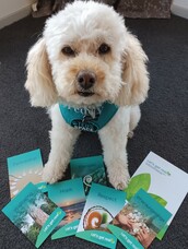 Sensory modulation training framework development: Teddy’s inspirational contribution at Te Pou