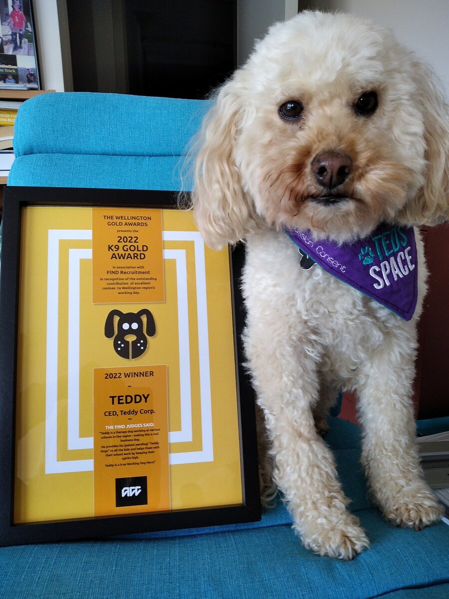 Teddy recognised in Wellington K9 Gold Awards | Ted's Space