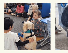 Enhancing learning opportunities and wellbeing through animal therapy