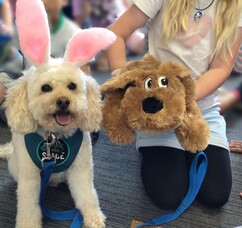 Happy Easter from Teddy and friends