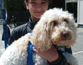 Paws, Progress, and Promise: Celebrating 2024 and Looking Ahead to 2025