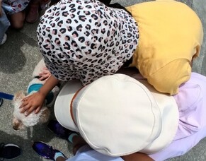 Welcome Back to School Teddy - Term 1, 2024