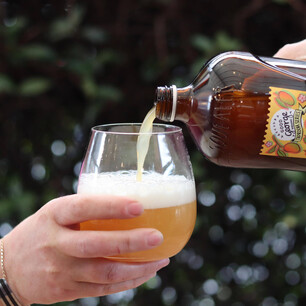 Beer squealer label design for Good George Brewing Nectar of the Gods Apricot Mango HAzy IPA