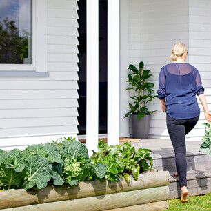 Editorial photography for Living Lightly book by Nicola Turner vege garden