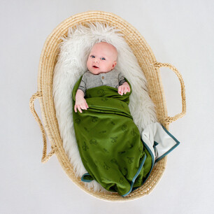 Childrens fashion photography for Kauri and Sons Studio baby in moses basket overhead