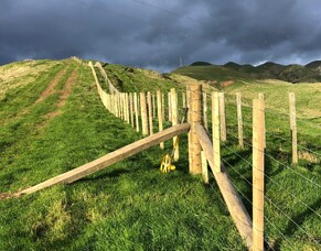 Property Boundary Fencing