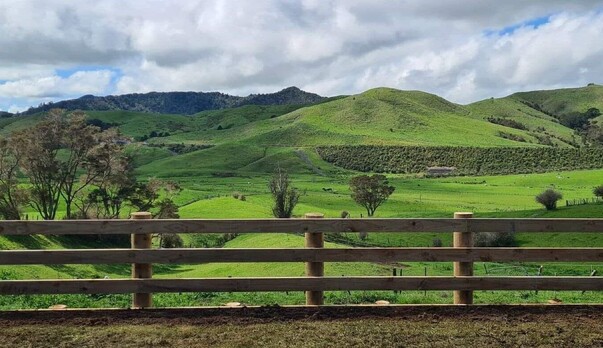 Fencing - New Zealand Transport Agency