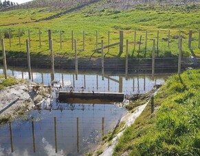 Fencing -  Waikato Expressway/Huntly Section