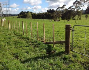 Fencing - Transpower Project