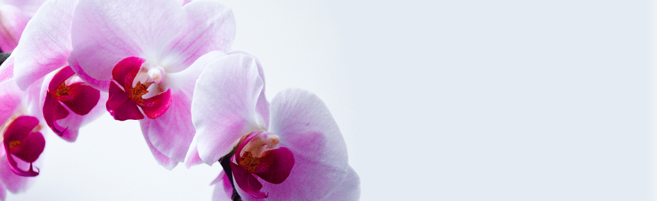 ORDER FLOWERS ONLINE