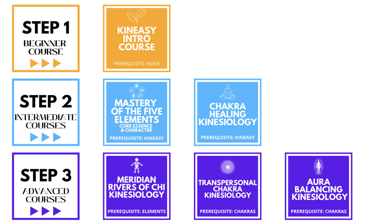 How to a Kinesiologist? Body Wisdom Kinesiology