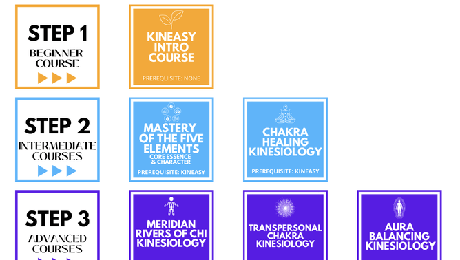 Kinesiology Courses in NZ