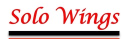 Solo Wings Aircraft Engineering 
