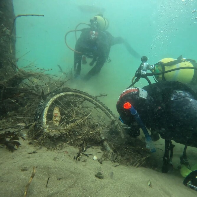 OCEAN CLEAN UP  - Whitianga Wharf 2023. Removed 500kg of rubbish, 364 pieces of trash.