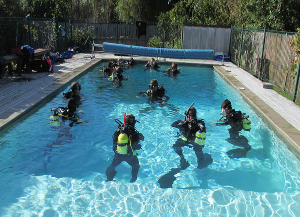 PADI Dive Courses NZ | Dive Zone Whitianga | Learn To Dive!
