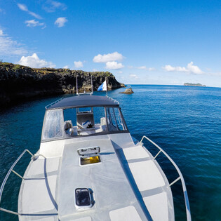Dive Charter Boat