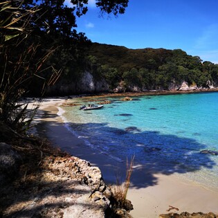 Coromandel beaches