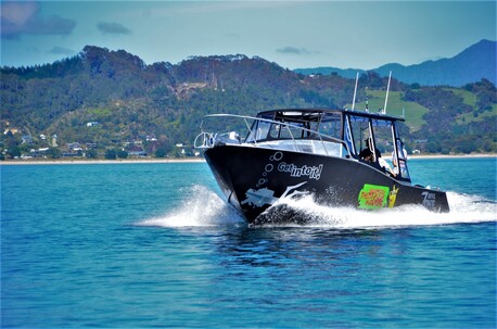 Dive Vessel Mystery Machine