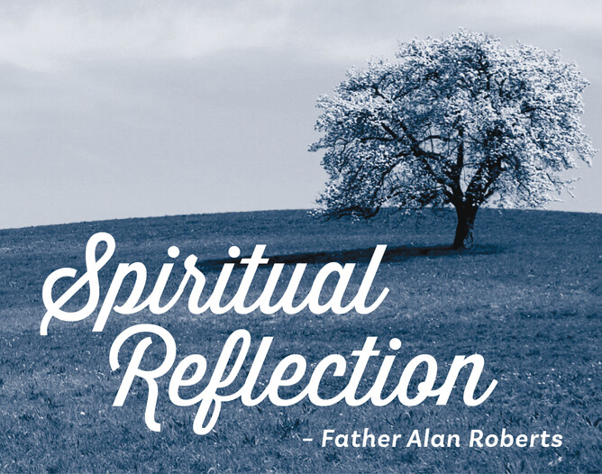 Spiritual Reflection February 2024 Society of St Vincent de Paul