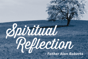 Spiritual Reflection - November 2025