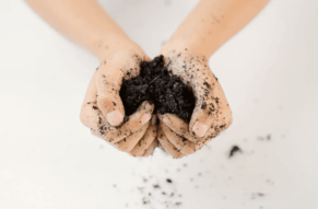 The Soil Solution: Soil Health Addresses Our Massive Problems