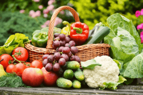 Everything Is Broken