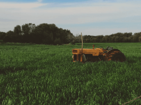 Change Needed in Fertiliser Use