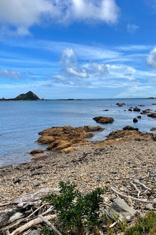 Free downloads coming soon