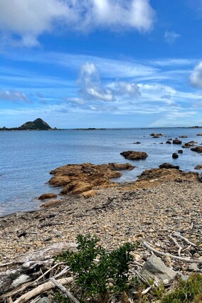 Free downloads coming soon