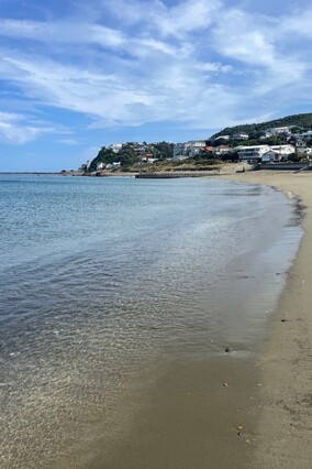 Recommended books and podcasts