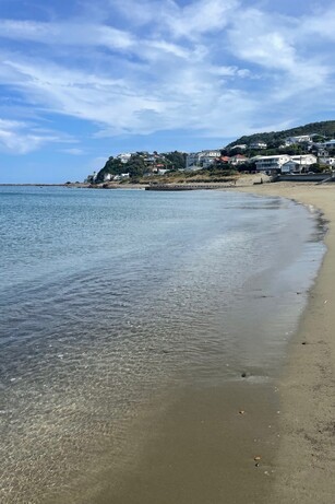 Recommended ADHD resources