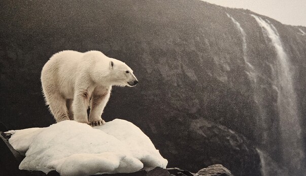 Angry, Heartbroken, but Choosing to Act