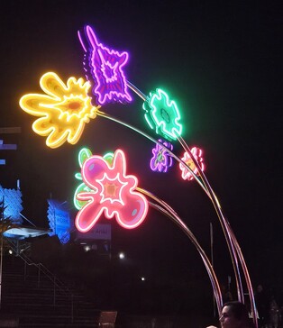 Beautiful Winter flower lights