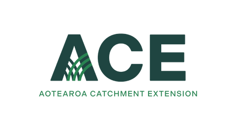 Aotearoa Catchment Extension